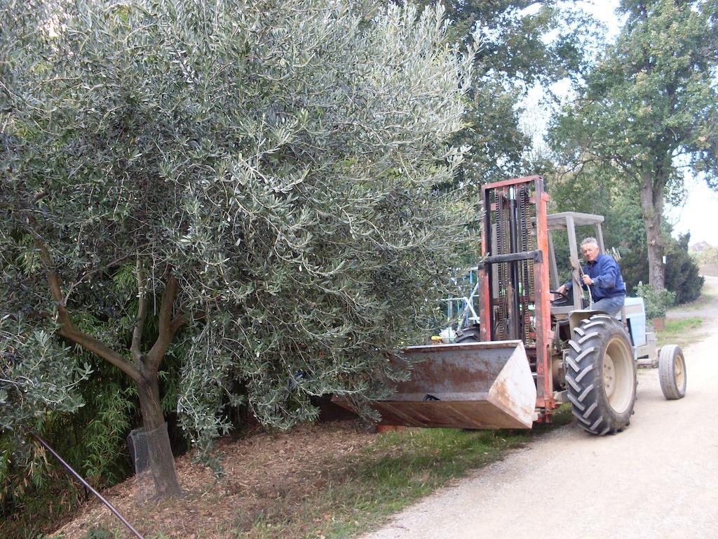 Agriturismo La Marletta Imola Luaran gambar